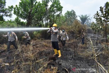 Corona ternyata tak kurangi Karhutla di Pekanbaru