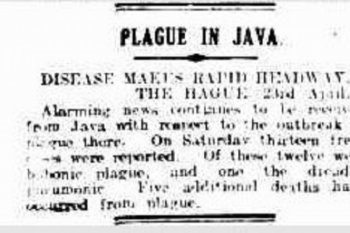 On the importance of lockdown: lessons from plague control in Java