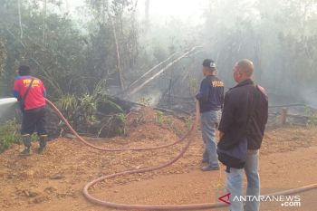 Dalam dua hari, seratusan hektare lahan di Bintan terbakar