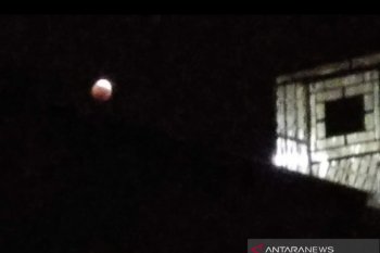 Hari Bumi di Indonesia diperingati secara virtual di tengah pandemi COVID-19