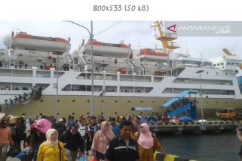 COVID-19, Penumpang Pelni di Kendari turun hingga 50 persen