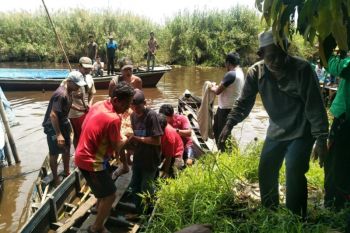 Korban terkaman buaya di Inhil ditemukan tewas. Begini kondisinya
