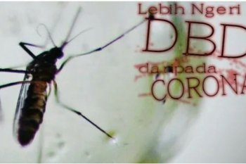 Tetap waspada lonjakan kasus DBD ditengah pendemi COVID-19