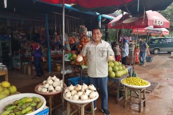 COVID-19, sadarkan pentingnya keterbukaan dan kemandirian