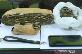 Polres Bangka Barat ungkap kasus penyalahgunaan ganja