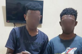 Polresta Jayapura tangkap dua pemuda pemilik ganja