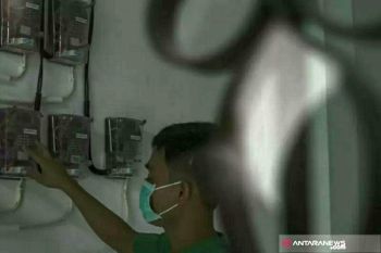 PLN Tarakan lakukan pemeliharaan jaringan distribusi SUTM