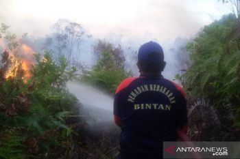 Damkar catat 60 kasus Karhutla melanda Bintan hingga  pekan pertama April