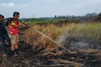 Karhutla kembali terjadi ditengah wabah COVID-19 di Inhil