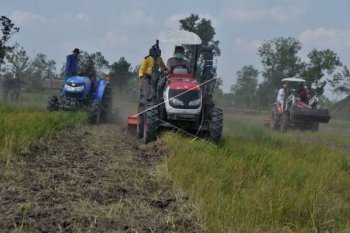 Banyuasin  pada Mei 2020 diprakirakan panen 487.500 ton beras