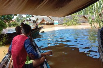 Ratusan rumah di Teweh Timur terendam banjir