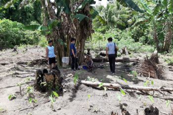 Anak aniaya ayah kandung  karena ingin kuasai kebun