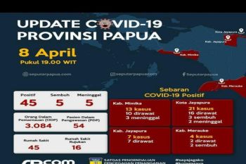 Warga Papua positif COVID-19 bertambah jadi 45 orang
