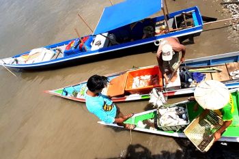 Tangkapan nelayan menurun akibat COVID-19