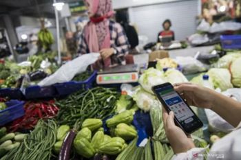 Sayurbox akui permintaan melonjak selama pandemi COVID-19