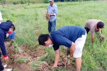 Warga  disarankan tanam komoditas pangan