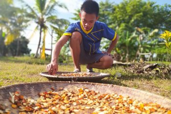 Konsumsi jamu anticorona Warti laris manis selama pandemi COVID-19