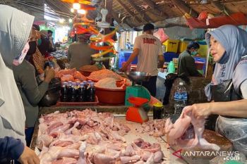 Harga ayam potong  di Palembang bergerak naik