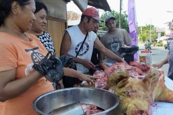 Peternak Sulawesi Utara alami kerugian terdampak COVID-19