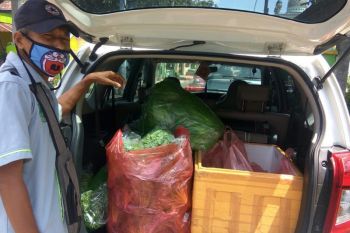 Permintaan sayuran hidroponik di Kediri tetap stabil, tak terimbas corona