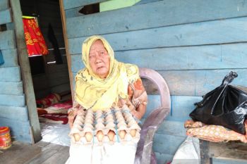 Athirah Peduli salurkan bantuan terdampak COVID-19 di Kabupaten Bone