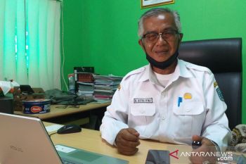 Para petani Belitung diimbau galakkan budi daya tanaman pangan