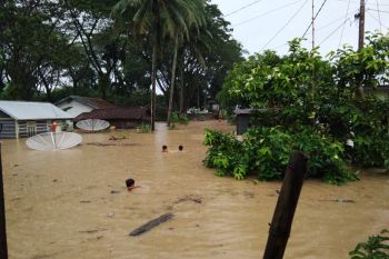 Ratusan rumah terendam banjir di  Pasaman Barat, Sumbar