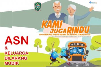 Akademisi sebut tradisi mudik bisa picu gelombang kedua penularan COVID-19