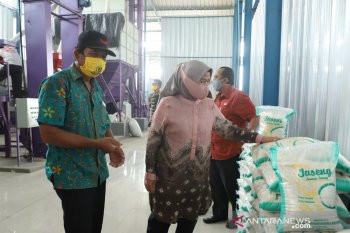 Bupati Serang akan bagikan beras petani "Jaseng" bantu korban COVID-19