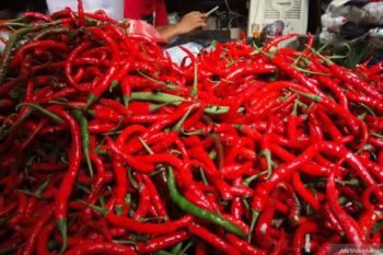 Jelang Ramadhan, harga  cabai di Tembilahan naik