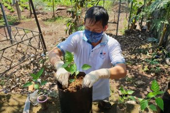 Wali Kota Manado: Manfaatkan lahan sekitar rumah tingkatkan ketahanan pangan