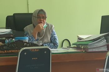 267 Kasus DBD di Kendari, lima  orang meninggal