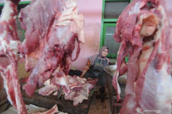 Harga daging stabil jelang ramadhan