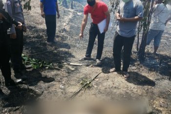 Seorang warga  Tanjungpinang  tewas terbakar di lahan miliknya