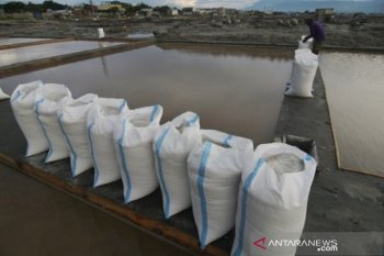 Petani garam tetap berproduksi di tengah pandemi COVID-19