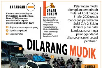 Dilarang mudik