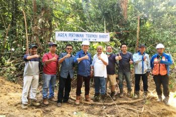 Nadalsyah tetapkan lokasi pertanian terpadu seluas 150 hektare