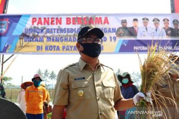 Payakumbuh surplus beras