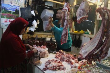 Stok daging sapi jelang ramadhan