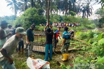 Warga Agam diseret buaya, BKSDA pasang perangkap