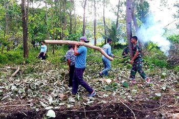 Lantamal VI perluas pembukaan lahan perkebunan antisipasi dampak COVID-19