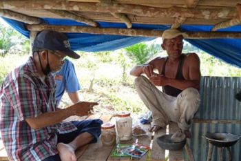 Kisah Waryono budidayakan semangka demi keluarga