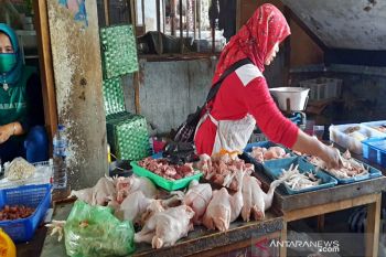 Jelang puasa, harga ayam di Solo mulai naik