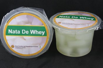 Kementan kembangkan whey susu  tingkatkan imunitas