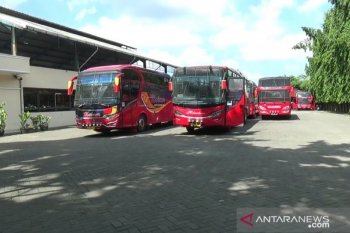 PO terancam tumbang , Kemenkeu menyiapkan dua skema relaksasi kredit