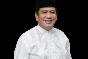 Sulteng seyogianya 'tidak silau' dengan investasi nikel dan energi