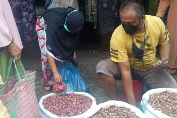 Harga bawang merah makin tak terjangkau, tembus Rp50 ribu perkilogram di Dharmasraya
