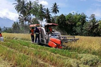 Bulog Lampung pastikan stok pangan cukup