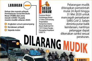 Dilarang mudik