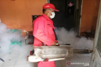 40 orang di Pekalongan terjangkit demam berdarah dengue
